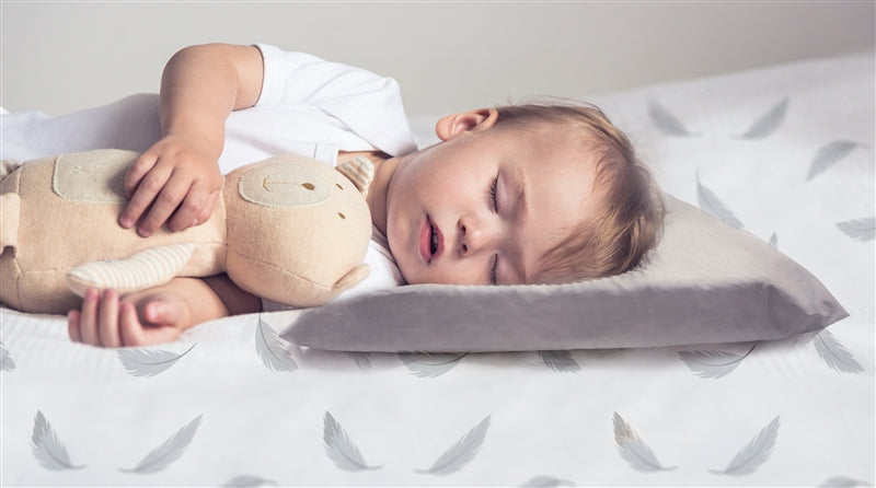 Percale | Toddler Pillow Case