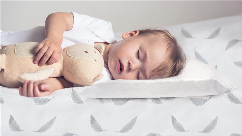 Percale | Toddler Pillow Case