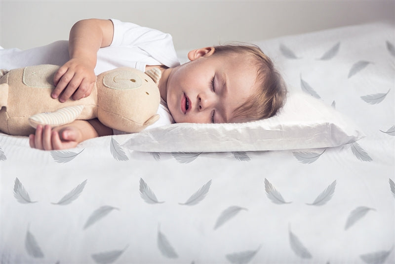 Organic Jersey Toddler Pillow Case | White
